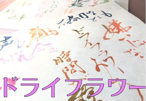 歌詞動画 ドライフラワー 優里 書道 立川の書道教室 書香の運営するブログはこちらです